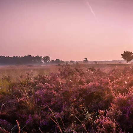 Chalet 6-persoons Familielodge